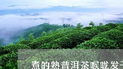 煮的熟普洱茶喉咙发干/2023092725262