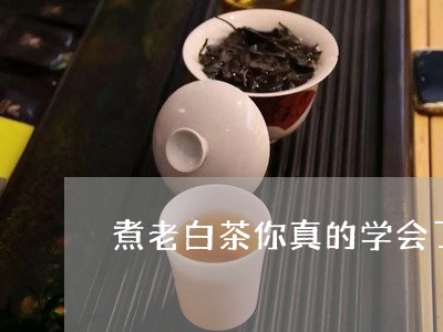 煮老白茶你真的学会了吗/2023102714936