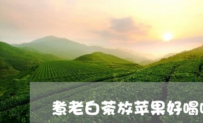 煮老白茶放苹果好喝吗/2023100241794