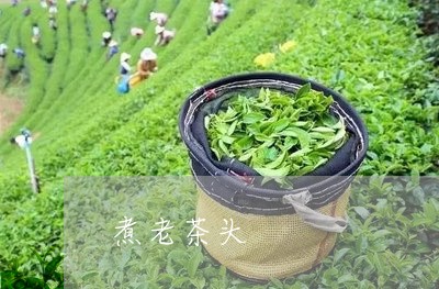 煮老茶头/2023090158260