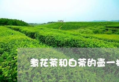 煮花茶和白茶的壶一样吗/2023102773614