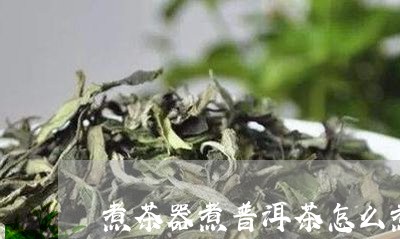 煮茶器煮普洱茶怎么煮/2023120642604