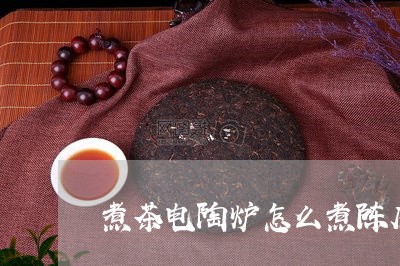 煮茶电陶炉怎么煮陈皮普洱茶/2023110234927