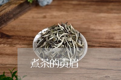 煮茶的贡眉/2023082772603