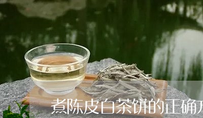 煮陈皮白茶饼的正确方式/2023063009693