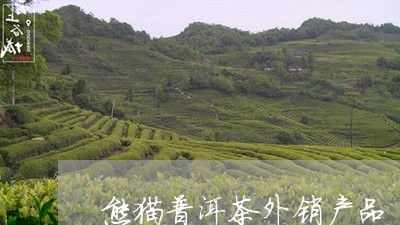 熊猫普洱茶外销产品/2023091390473