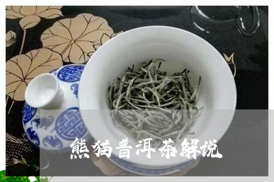 熊猫普洱茶解说/2023112555160