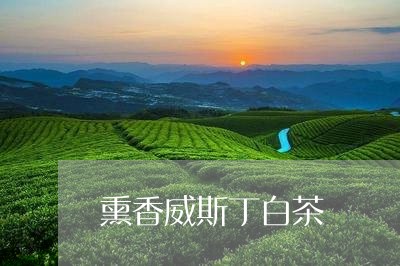 熏香威斯丁白茶/2023073161724