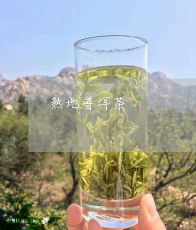 熟地普洱茶/2023090524918