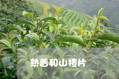 熟普和山楂片/2023090763752