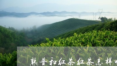 熟普和红茶红茶怎样喝/2023092356141