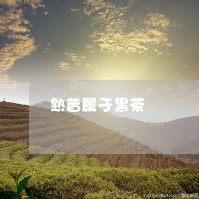 熟普属于黑茶/2023090760683