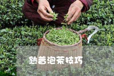 熟普泡茶技巧/2023090740726