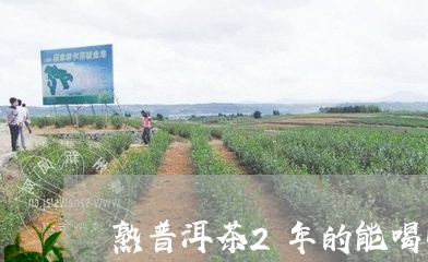 熟普洱茶2年的能喝吗/2023062882937