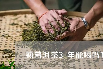 熟普洱茶3年能喝吗吗能喝多少/2023110465038