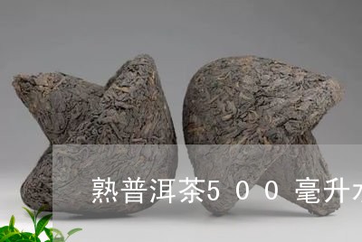 熟普洱茶500毫升水/2023062862715