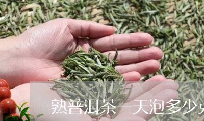 熟普洱茶一天泡多少克合适/2023110226139