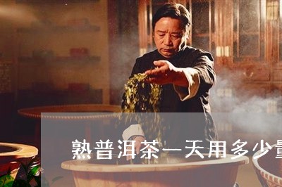 熟普洱茶一天用多少量/2023092698260