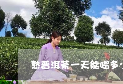 熟普洱茶一天能喝多少/2023092651582