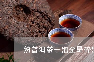 熟普洱茶一泡全是碎渣/2023092716082