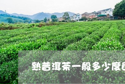 熟普洱茶一般多少度的/2023062815049