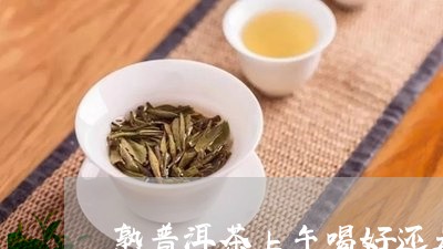 熟普洱茶上午喝好还是下午喝好/2023053084047