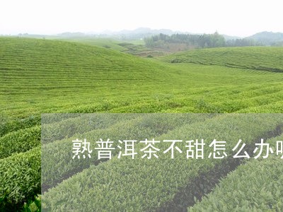 熟普洱茶不甜怎么办呢好喝吗/2023083198271