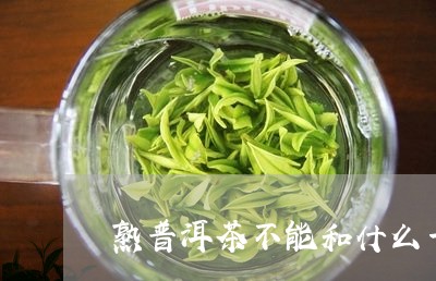 熟普洱茶不能和什么一起吃/2023051095049