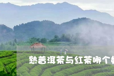 熟普洱茶与红茶哪个好/2023062371836