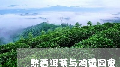 熟普洱茶与鸡蛋同食/2023042890503