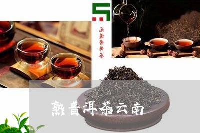 熟普洱茶云南/2023042768558