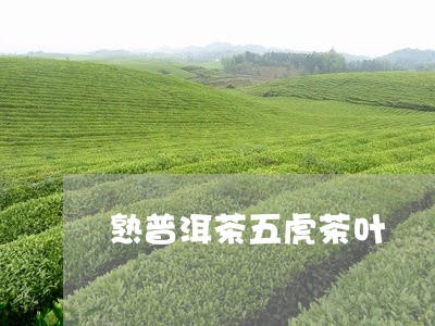 熟普洱茶五虎茶叶/2023110751793