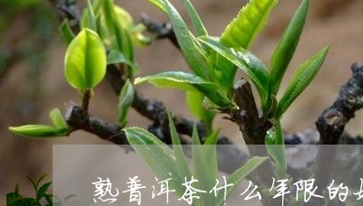 熟普洱茶什么年限的好/2023073158705