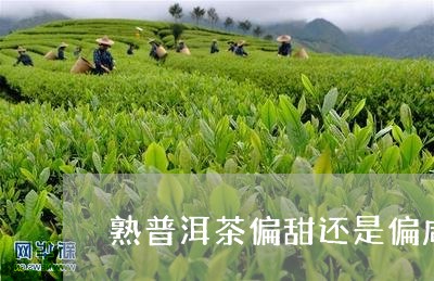 熟普洱茶偏甜还是偏咸的/2023110788492