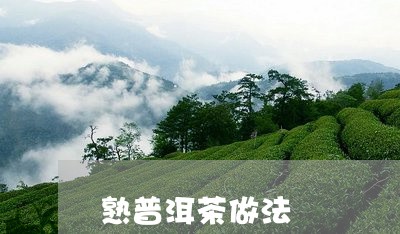 熟普洱茶做法/2023042633645