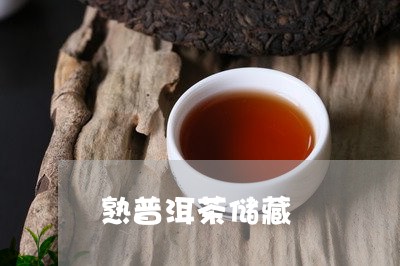 熟普洱茶储藏/2023042744073