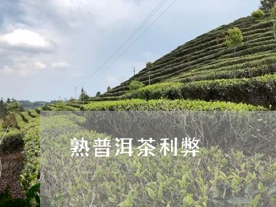 熟普洱茶利弊/2023042759809