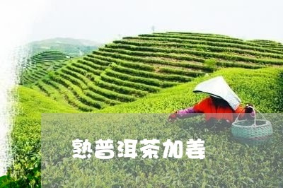 熟普洱茶加姜/2023042937596