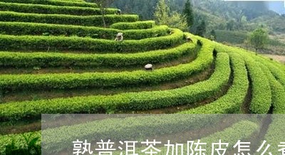 熟普洱茶加陈皮怎么煮/2023120647359