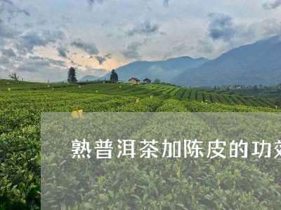 熟普洱茶加陈皮的功效/2023093095836