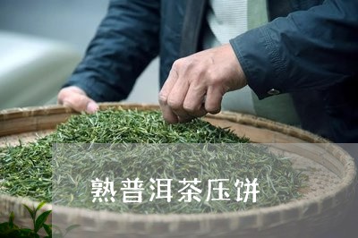 熟普洱茶压饼/2023042545358