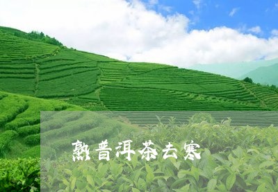 熟普洱茶去寒/2023042528579