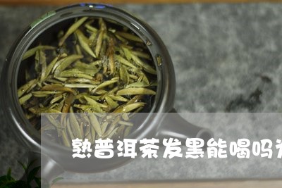 熟普洱茶发黑能喝吗为什么/2023112550594