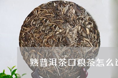 熟普洱茶口粮茶怎么选/2023083198494