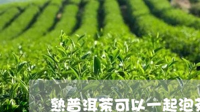 熟普洱茶可以一起泡茶喝吗/2024010472713