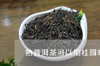 熟普洱茶可以加桂圆吗/2023093061595