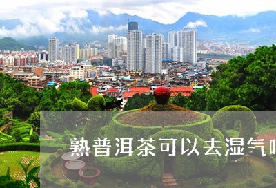 熟普洱茶可以去湿气吗/2023062240382