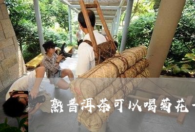 熟普洱茶可以喝菊花一起泡吗/2023052716362