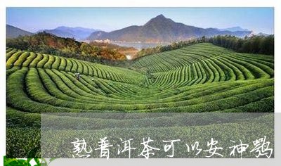 熟普洱茶可以安神嘛/2023112787161