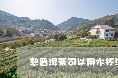 熟普洱茶可以用水杯泡吗/2023110437361